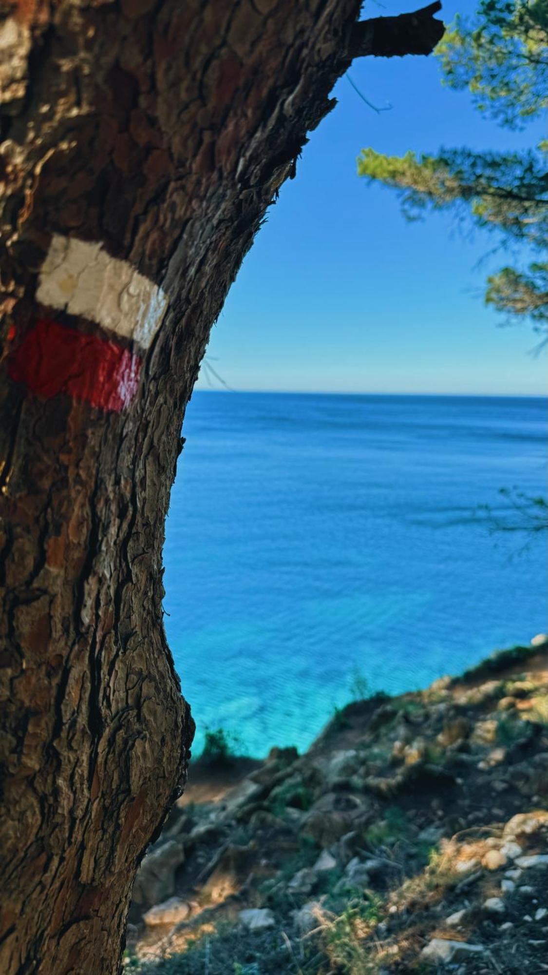Can Romy Appartement T3 B - A 20M De La Plage De Cala Montgo L' Escala Exteriör bild